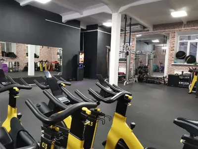 Fitness House - Интернет Магазин - 6 месяцев