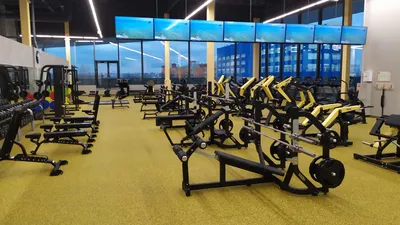 Fitness House - Интернет Магазин - 6 месяцев