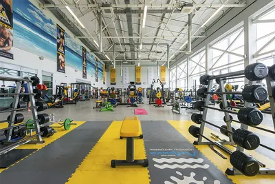 Fitness house, фитнес-клуб, Республиканская, 61а, Ярославль — 2ГИС