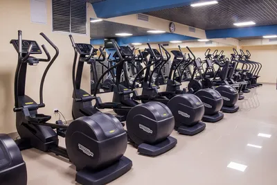 The Fitness House Named Exclusive Training Facility — AFC Ann Arbor