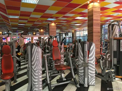 Спортивный клуб Zebra Fitness Волгоград - Главная