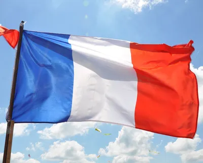 Купить Флаг Франции, цена 300 грн — Prom.ua (ID#689307068)
