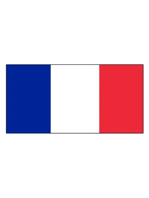 Флаг Франции большой на стену 90х135 флаги стран мира Заверните! 15116885  купить за 780 ₽ в интернет-магазине Wildberries