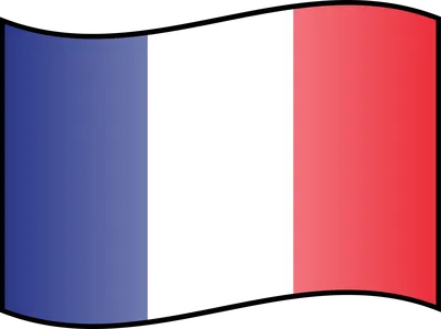 Флаг Франции Скачать PNG Image | PNG Arts