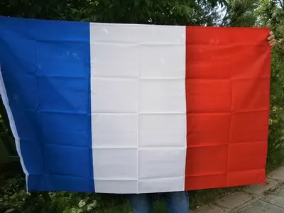 Флаг Франции с Металлическими Люверсами 90x150 Cм. MFH. Германия. — Купить  Недорого на Bigl.ua (1028590673)