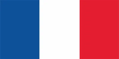 Флаг Франции 1 х 2 метра. (id 15220909)