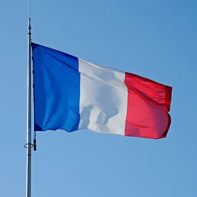Новая горячая распродажа большой Национальный Флаг Франции французский  баннер 150*90 см/5 * 3FT петельками для подвешивания - купить по выгодной  цене | AliExpress