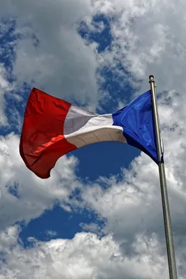 Картинки флаг Франции (21 фото) скачать бесплатно