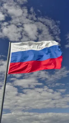 Счастливый российский день вертикальные обои флаг Фон Обои Изображение для  бесплатной загрузки - Pngtree