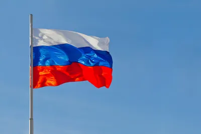 Что означают цвета флага России | Вокруг Света