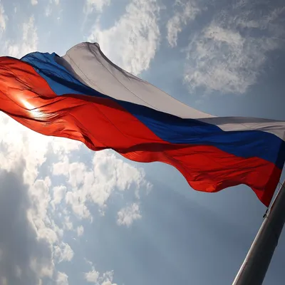 День государственного флага России отмечают 22 августа — Информационный  портал Yk24/Як24