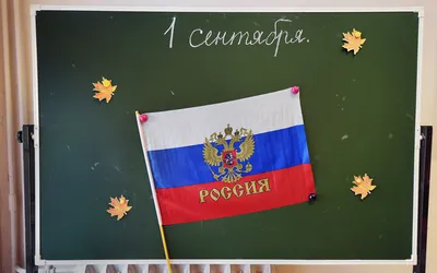 Минпросвещения пообещало внедрять поднятие флага в школах с 1 сентября — РБК