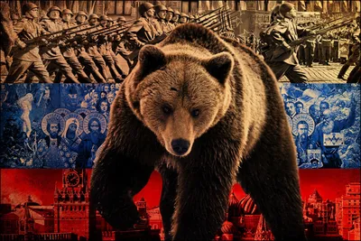 Грозный медведь на фоне Флага России | Обои для телефона