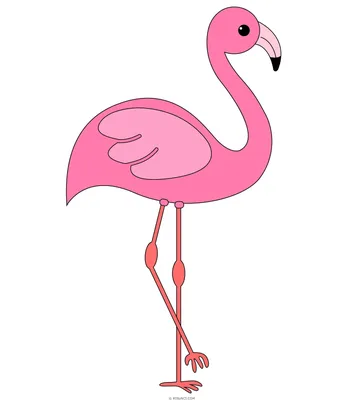 Фламинго рисунок для детей карандашом - 57 фото