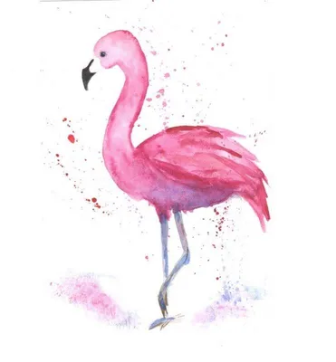 Красивые рисунки фламинго для рисования (16 фото)