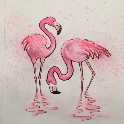 Картинки фламинго для срисовки | Flamingos art illustration, Flamingo  artwork, Flamingo painting