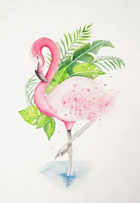 Картинки фламинго для срисовки | Фламинго, Искусство птицы, Художественные  принты