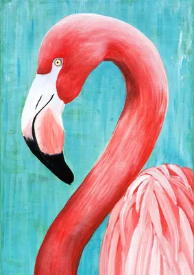 Flamingo On A Dark Background. Illustration For Your Design Фотография,  картинки, изображения и сток-фотография без роялти. Image 197909787