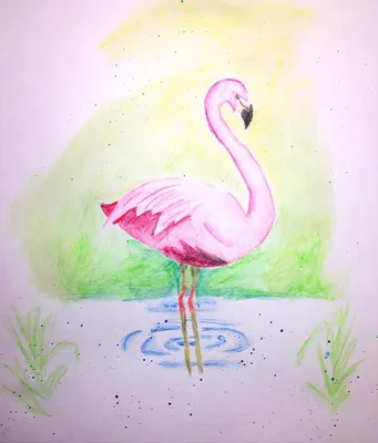 Фламинго ручной силуэт птицы настоящий акварельный рисунок векторная  иллюстрация прорисованная картина для обоев или фона и книг | Премиум  векторы
