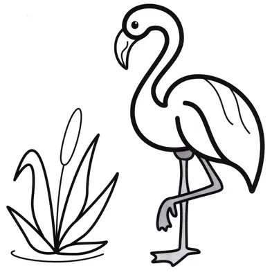 Рисунок для срисовки фламинго (34 шт)
