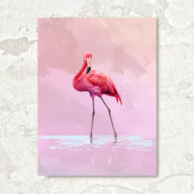 Рисунок фламинго | 🎨Идеи Для Лд [RUS]🎨 Amino