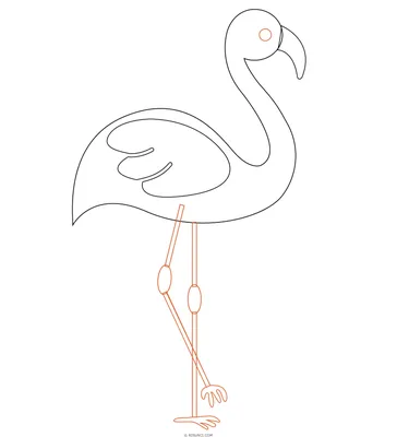 Рисунки фламинго для срисовки (100 фото)