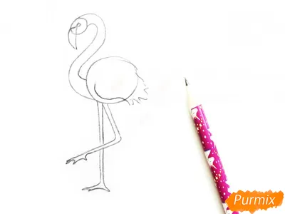 милый нарисованный рукой милый фламинго для печати футболки PNG , Фламинго,  пляж, арбуз PNG картинки и пнг рисунок для бесплатной загрузки