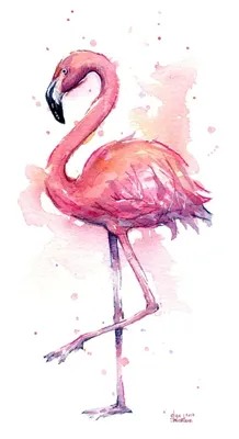 Фламинго рисунок для срисовки - 140 фото