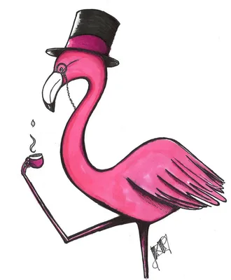 Фламинго для срисовки - фото и картинки abrakadabra.fun