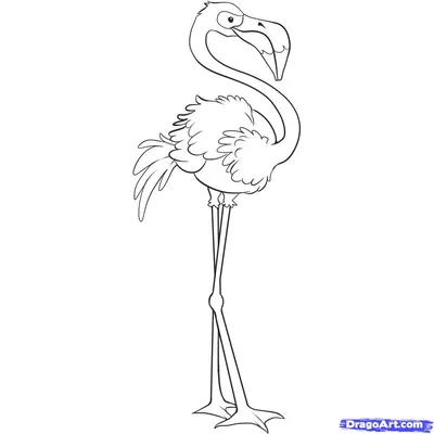 Как нарисовать Фламинго поэтапно 11 уроков