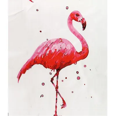 Картинки фламинго для срисовки