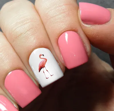 Flamingo Nail Art Decals | Искусство маникюра, Летний маникюр, Роспись  ногтей в стиле хэллоуин