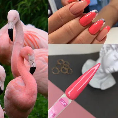 Pin by Naomi on Nails | Flower nails, Flamingo nails, Pretty nails