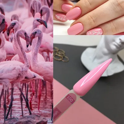 Розовый фламинго украсит любой маникюр. И уж тем более здорово будет  смотреться на пальчиках тех девушек, которые собрались.. | ВКонтакте