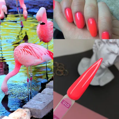 🏆 Студия маникюра и педикюра, оформления бровей Flamingo nail art: цены на  услуги, запись и отзывы на Stilistic.ru