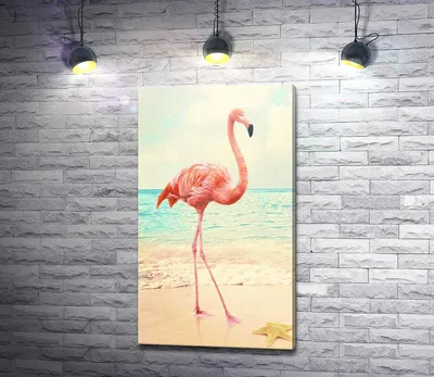 Пляж Flamingo Aruba с розовыми фламинго на пляже Фламинго на пляже в Арубе  Карибский бассейн, Стоковое видео - Envato Elements