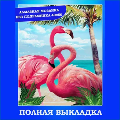 13 091 рез. по запросу «Flamingo island» — изображения, стоковые  фотографии, трехмерные объекты и векторная графика | Shutterstock