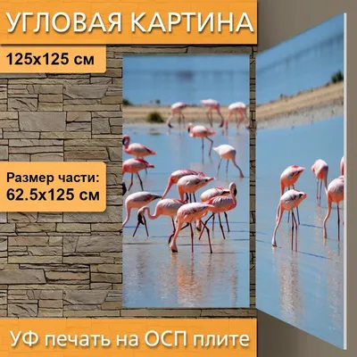 Пляж фламинго в лазаревском (72 фото) - 72 фото