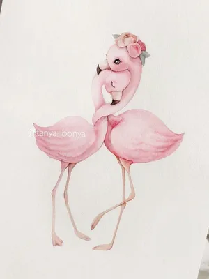 Pin by Eve Adamson on Flamingos | Flamingo art, Bird drawings, Cute drawings