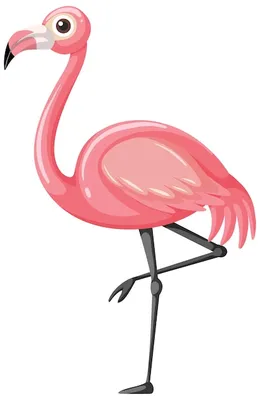 Фламинго фотографии