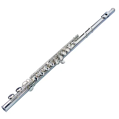 Флейта для начинающих BRAHNER F-115NE. Купить недорогую флейту для обучения