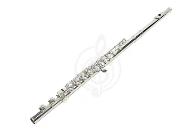 Livingstone KFL-101S - Флейта купить, цена 14 990 руб на Livingstone  KFL-101S - Флейта доставка по России