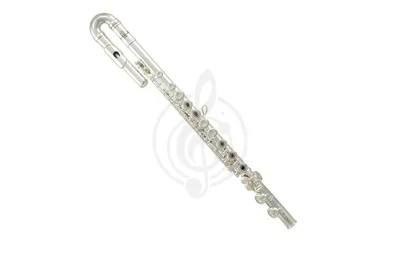 ROY BENSON FL-402R2 - Флейта купить, цена 29 930 руб на ROY BENSON FL-402R2  - Флейта доставка по России