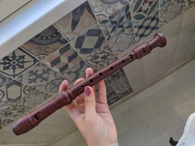 Неудачный подарок. Помогите понять, что это за флейта. | Пикабу
