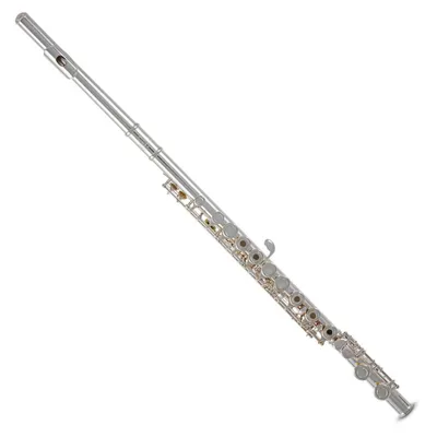 Roy Benson FL-402R2 - флейта | Купить в магазине Аудиомания