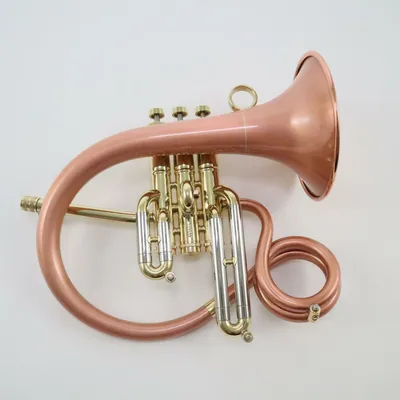 Купить Taylor Freddie Jr. Custom Made Compact Flugelhorn-Trumpet Hybrid Б/У  на Аукцион из Америки с доставкой в Россию, Украину, Казахстан