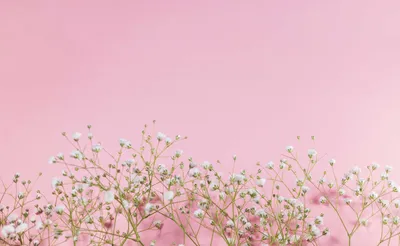 Красивый нежно розовый фон - фото и картинки: 71 штук