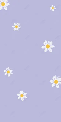 Маленькая маргаритка фиолетовый мобильный телефон обои Фон, маленькие  ромашки, фиолетовый фон, белые цветы фон картинки и Фото для бесплатной  загрузки