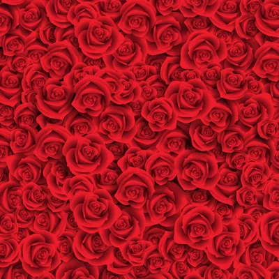 Красные розы фон - 73 фото