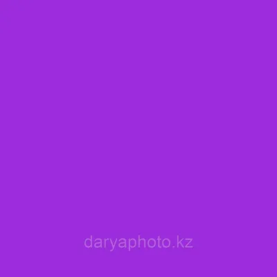 Фиолетовый Фон бумажный 2,75\\11м. Фотофон. Фон для фотостудии (id 4069631)